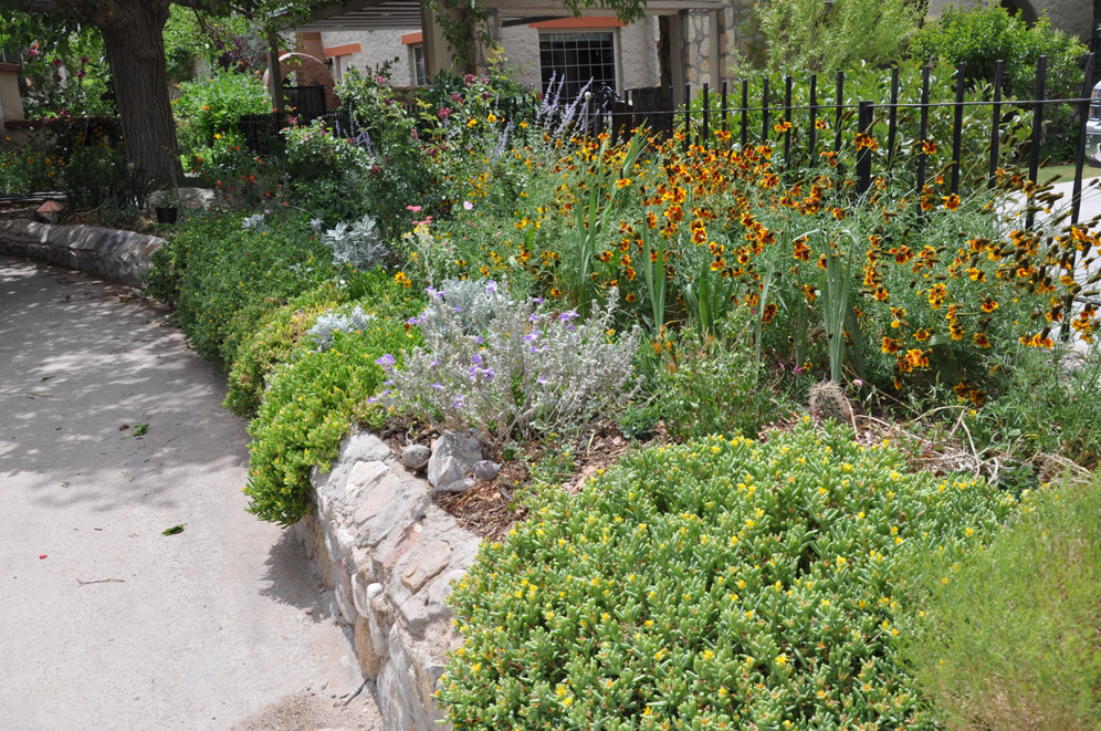 El Paso General Gardens 8